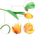 thumbnail image 6 of Luxtrada 20Pcs Tulips Real Touch Artificial Flowers Fake Tulips Arrangement Bouquet for Home Kitchen Office Wedding Spring Holidays Valentine's Day Decor (Red), 6 of 7