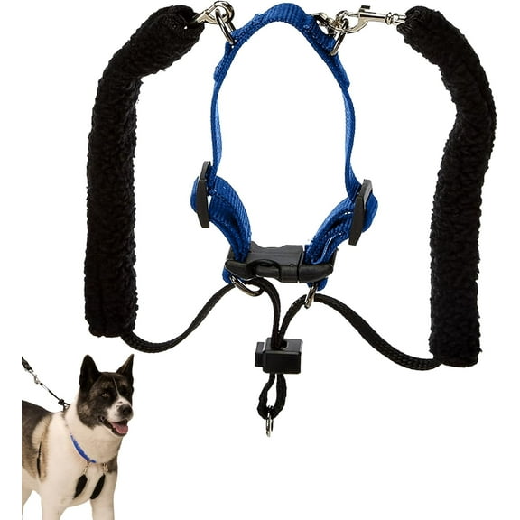 Sporn Training Dog Halter, Blue, X-Large (23-33" Neck Size)