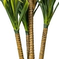 thumbnail image 4 of Vickerman 40" Artificial Potted Green Yucca, 4 of 6