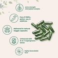 thumbnail image 3 of Micro Ingredients Chlorophyll Complex, 240 Vegetarian Capsules | 6-in-1 Supergreens Parsley, Moringa, Spirulina, Chlorella, & More | Internal Deodorant Supplement*, 3 of 7