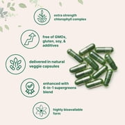 Micro Ingredients Chlorophyll Complex, 240 Vegetarian Capsules | 6-in-1 Supergreens Parsley, Moringa, Spirulina, Chlorella, More | Internal Deodorant Supplement*