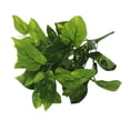 thumbnail image 2 of TIELUTT Leaves Peace Outdoor Wall Greenery Wall Roses Flower Wall Flowers Flower Panels 24x16 Flower Wall Screen Flowers Outdoor & Flowers Flower Packs, 2 of 4