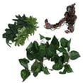 thumbnail image 2 of Creeper Box Imitation Rattan,  Amphibian Hanging Plants With Suction Cup For Reptile Terrarium Decorations For Climbing Pets For Home Landscaping, 2 of 8