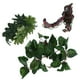 thumbnail image 3 of Plantas Colgantes De Anfibios Ratán De Imitación De Terrario De Reptil Realista Para Paisajismo Del Hogar Para Mascotas Trepadoras Para Decoraciones De Terrario De Reptiles ANGGREK Otros, 3 of 8