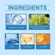 thumbnail image 5 of Spray de aceite de magnesio y aceite de árbol de té para nutrir el cuerpo (60 ml), 5 of 9