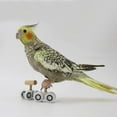thumbnail image 5 of Small Parrots Trick Roller Skates Adjustable Pet Birds Playground Small, 5 of 9
