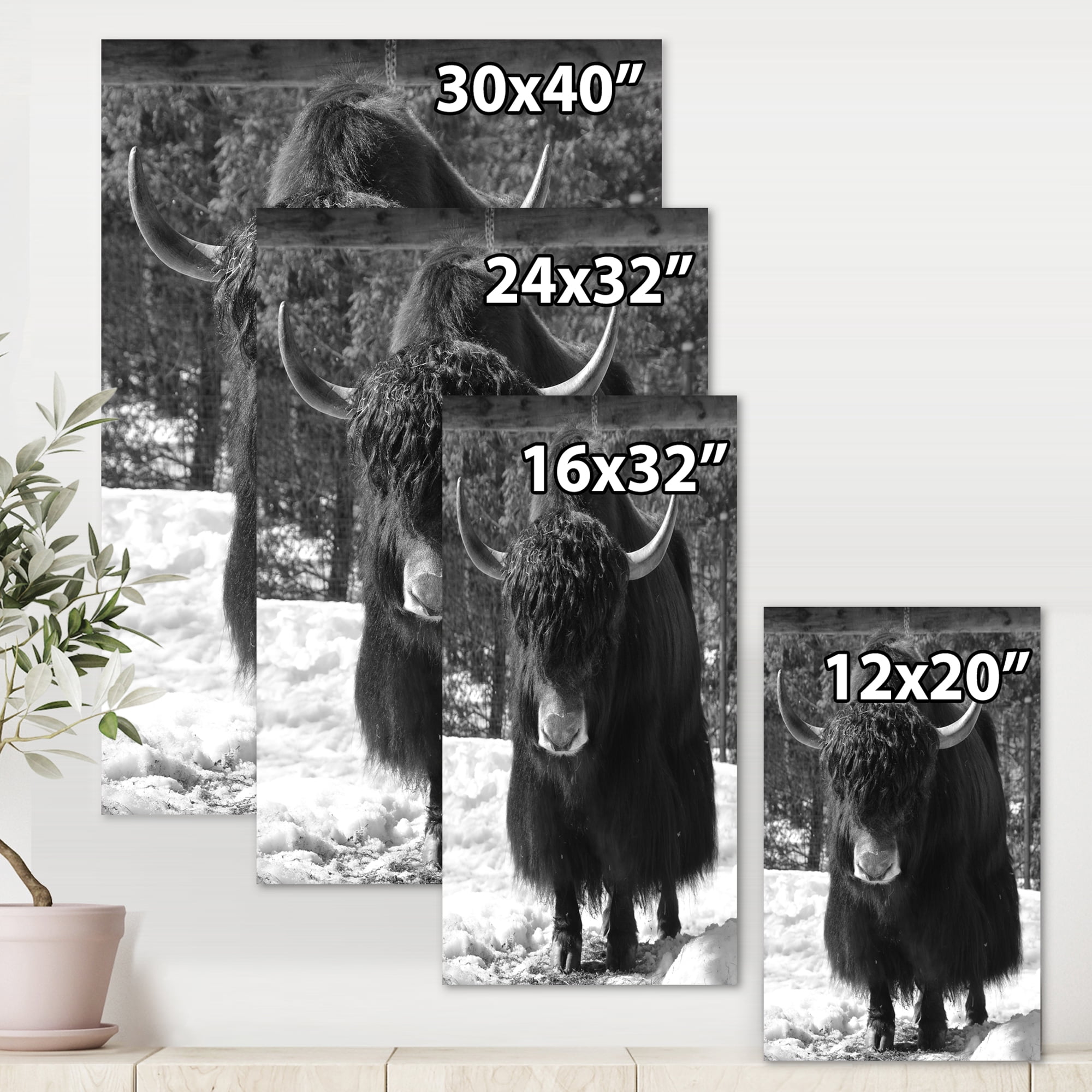 Designart ' Portrait Of Monochrome Wild Bull In Winter Forest I ' Farmhouse Canvas Wall Art Print