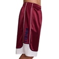 thumbnail image 4 of AND1 Men's and Big Men's All Court Colorblock Short, 11" inseam, up to Size 5XL, 4 of 6