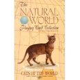 thumbnail image 2 of Cats of the World (The Natural World Playing Card Collection), 2 of 2