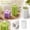 G Clear, variant on Pillar Candle Mold Silicone Molds for Candle Making Diy Custom Decorative Candles for Home Decor Candle Making Supplies 1 Count Clear