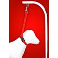 thumbnail image 2 of Country Brook Petz­ - Nylon Grooming Loop with Quick Release Buckle with 9 Vibrant Colors (5/8 Inch), 2 of 3