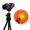 Sunset, variant on WINDLAND Romantic Rainbow Sunlight Projection Lamp USB Rechargeable Desktop Projector