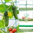 thumbnail image 6 of Climbing Net For Plants, 18-Strand Green Garden Trellis Netting For Vines Flowers Pothos, Plant Support Mesh Protection Against Birds Animals, 0.9X1.8M (36X72Inch) For Gardening, 6 of 6