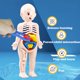 thumbnail image 2 of Juego de 14 piezas modelo de órgano humano para niños, juguetes educativos y de ciencia temprana médica, rompecabezas 3D, modelo de anatomía del cuerpo humano Fivean unisex, 2 of 2