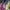 Royal Blue, variant on Women Half Sleeve Wrap V Neck Chiffon Floral Casual Maxi Dress Spring Summer Wedding Guest Dresses for Women Royal Blue M