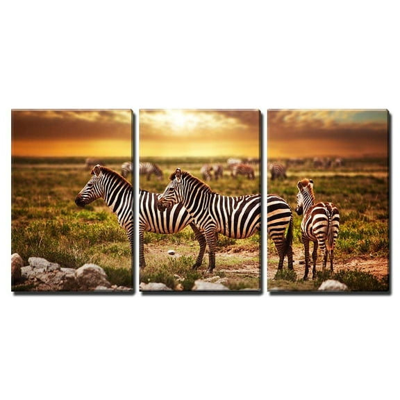 wall26 - 3 Piece Canvas Wall Art - Zebras Herd on Savanna at Sunset, Africa. Safari in Serengeti, Tanzania - Modern Home Art Stretched and Framed Ready to Hang - 16"x24"x3 Panels