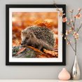 thumbnail image 2 of 5D DIY Pintura de Diamante FLhrweasw Otoño Erizo Completo Redondo, 2 of 9