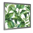 thumbnail image 2 of Designart 'Foliage Of Tropical Leaves On White' Tropical Framed Art Print, 2 of 4
