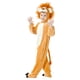 thumbnail image 2 of Costume Dress Up America Kids Lion King Lion para niños y niñas, 2 of 6