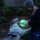 thumbnail image 3 of Pelota de Juguete Chuckit! MAX Glow Large para Perros, 3 of 5