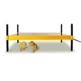 thumbnail image 1 of Brinsea Products USHD502 Ecoglow 50 Chick Brooder, 1 of 1