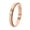 Rose Gold, variant on Women's Rotatable Ring Stainless Steel Jewelry Black Size 5