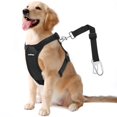 thumbnail image 1 of Chaleco de seguridad para perros VavoPaw con hebilla ajustable negro XXL, 1 of 7