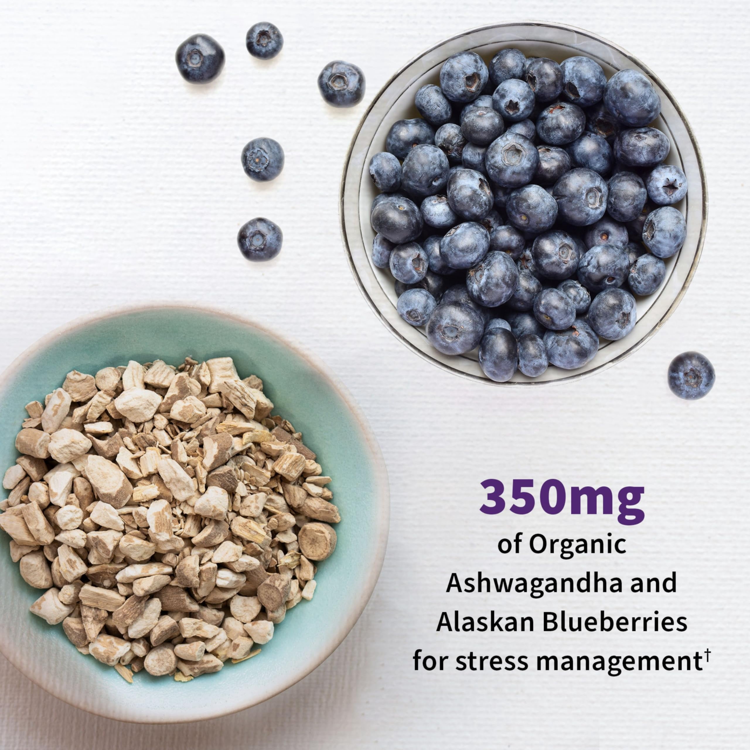 Garden of Life Dr. Formulated Probiotics Mood+ Acidophilus Probiotic Supplement - Promotes Relaxation and Digestive Balance - Ashwagandha for Stress Management - 60 Vegeterian Capsules