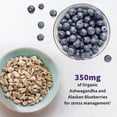 thumbnail image 3 of Garden of Life Dr. Formulated Probiotics Mood+ Acidophilus Probiotic Supplement - Promotes Relaxation and Digestive Balance - Ashwagandha for Stress Management - 60 Vegeterian Capsules, 3 of 6
