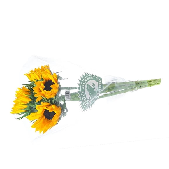 Bouquet de girasoles 6 tallos