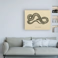 thumbnail image 3 of Trademark Fine Art 'Vintage Boa Constrictor Crop' Canvas Art by Wild Apple Portfolio, 3 of 3