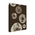 thumbnail image 4 of Canvas Wall Art - Pernille Folcarelli 'Mushroom 5 Dark Brown' Wall Art for Living Room, Bedroom, or Office Décor by Trademark Fine Art - 35 x 47 Inches, 4 of 4