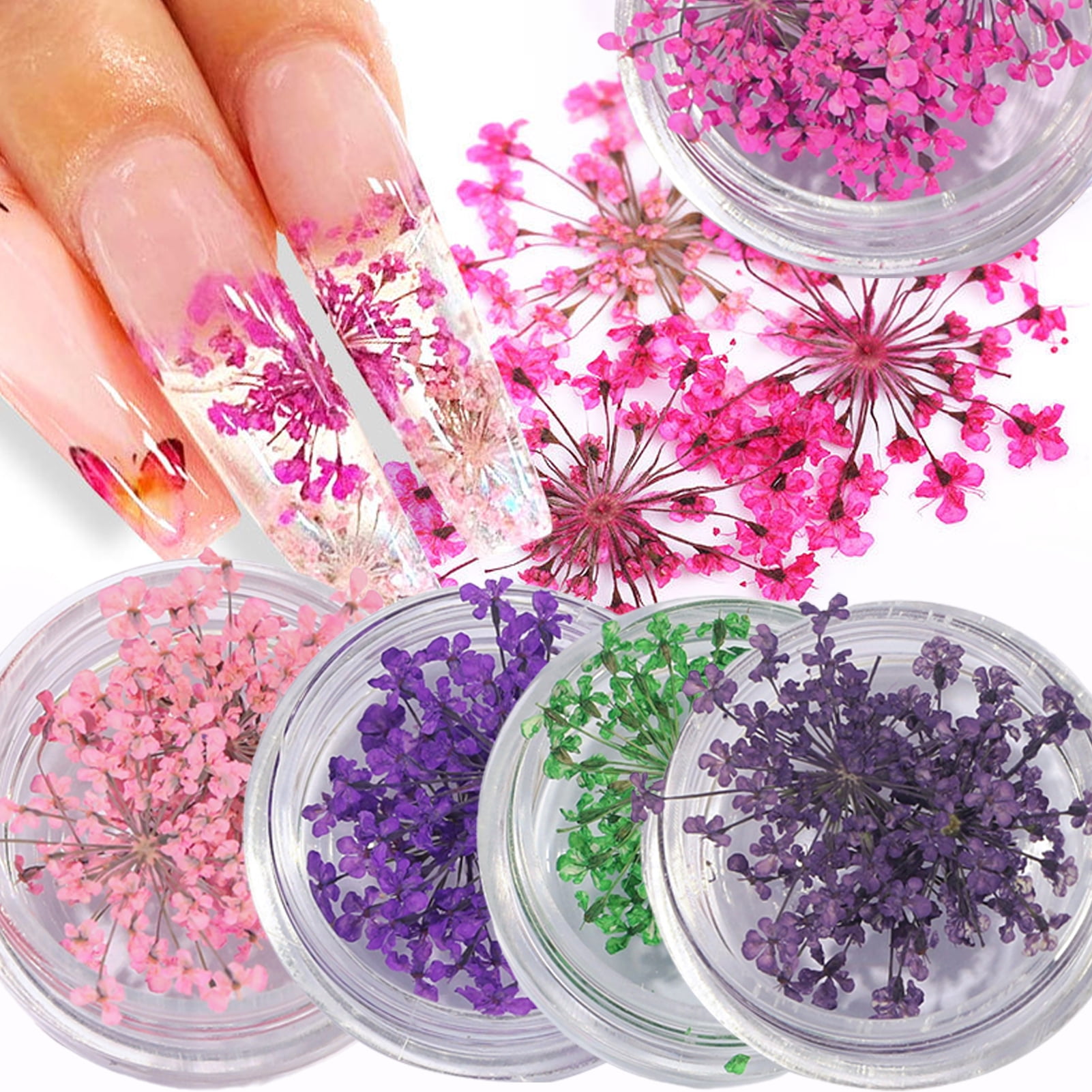 Kripyery 1 Box Nail Art Decorations Realistic Looking Vivid Color Natural  Non-Fading Wide Application Decorative 3D Effect Colorful Dried Flower Nail  Art Decoration Gift Nail Supplies 