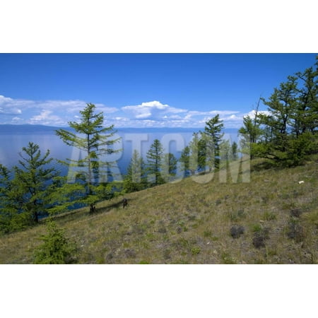 trees on the hillside against the backdrop of lake baikal siberia