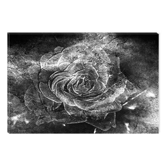 Startonight Canvas Wall Art Black and White Abstract Grunge Rose, Dual View Surprise Artwork Modern Framed Ready to Hang Wall Art 100% Original Art Painting 23.62 X 35.43 inch