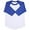 White/royal blue, variant on Ma Croix Kids Plain Raglan Baseball T-Shirt with 3/4 Sleeve Little League