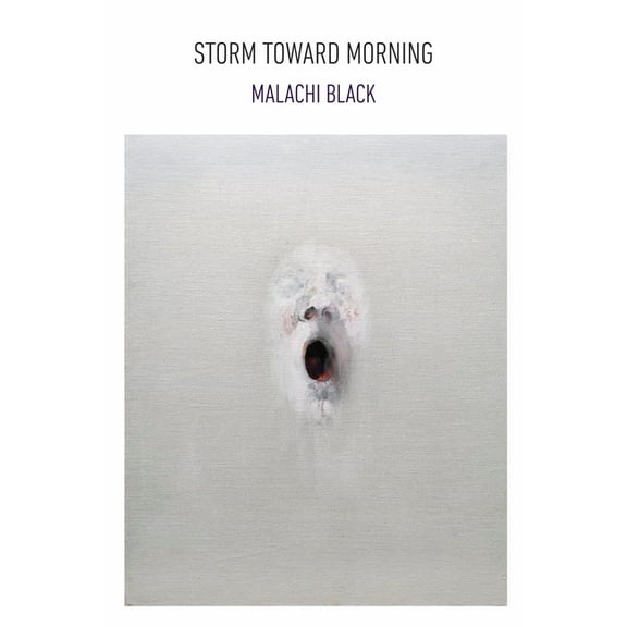 Storm Toward Morning, (Paperback)
