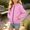 c01Pink, variant on Hduncf Boys Zip up Hoodie Soft Solid Classic Full Zip Pullover Hooded Sweatshirts With Pocket Warm Jacket for Kids (3-14 Years) Blue 110