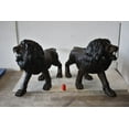 thumbnail image 4 of A Pair of Large Lions Walking Side by Side Bronze Statues Size: 24" x 60" x 41"H, 4 of 12