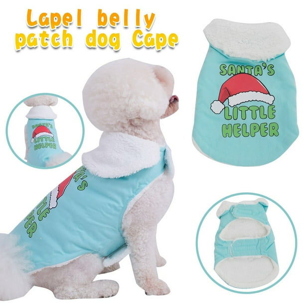 Dog flash clearance costume