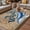Brown, variant on Vintage Sea Turtle Outdoor Rug for Patio/Deck/Porch, Non-Slip Large Area Rug 4 x 6 Ft, Brown Nautical Anchor Bubbles Coastal Indoor Outdoor Rugs Washable Area Rugs, Camping Rug Carpet Runner