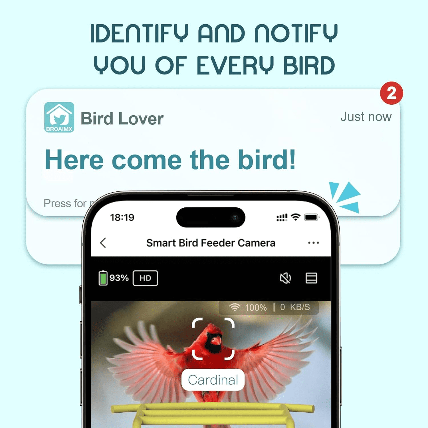 Smart Bird Feeder with Camera, Free AI Forever for 11,000+ Bird Species, 64G TF Card & 1080P HD, Solar-Powered Wireless Outdoor Bird Feeder, App Alerts & Two-Way Audio for Garden Bird Watching
