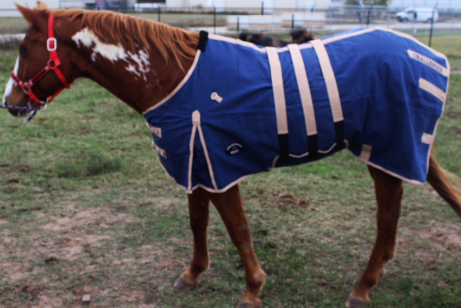 80" Canvas Duck Turnout Water Resistant Horse Winter Blanket Wool Lining Navy 