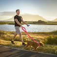 thumbnail image 3 of WHAMVOX 1Set Christmas Pet Leash Collar Set with Adjustable Red Nylon Collar and Matching Rope, 3 of 8