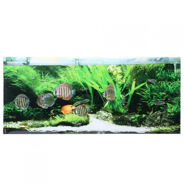 Water Plants PVC Fish Tank Poster, Fish Tank Background Poster, Small Fish  For Fish Tank Aquarium 61x41cm 