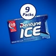thumbnail image 2 of Dentyne Ice Peppermint Sugar Free Gum, 16 Count, Pack Of 9, 2 of 2