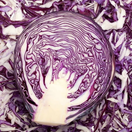 Red Rock Mammoth Cabbage Seeds: 4 Oz - Non-GMO, Chemical Free Sprouting Seeds for Vegetable Gardening & Growing