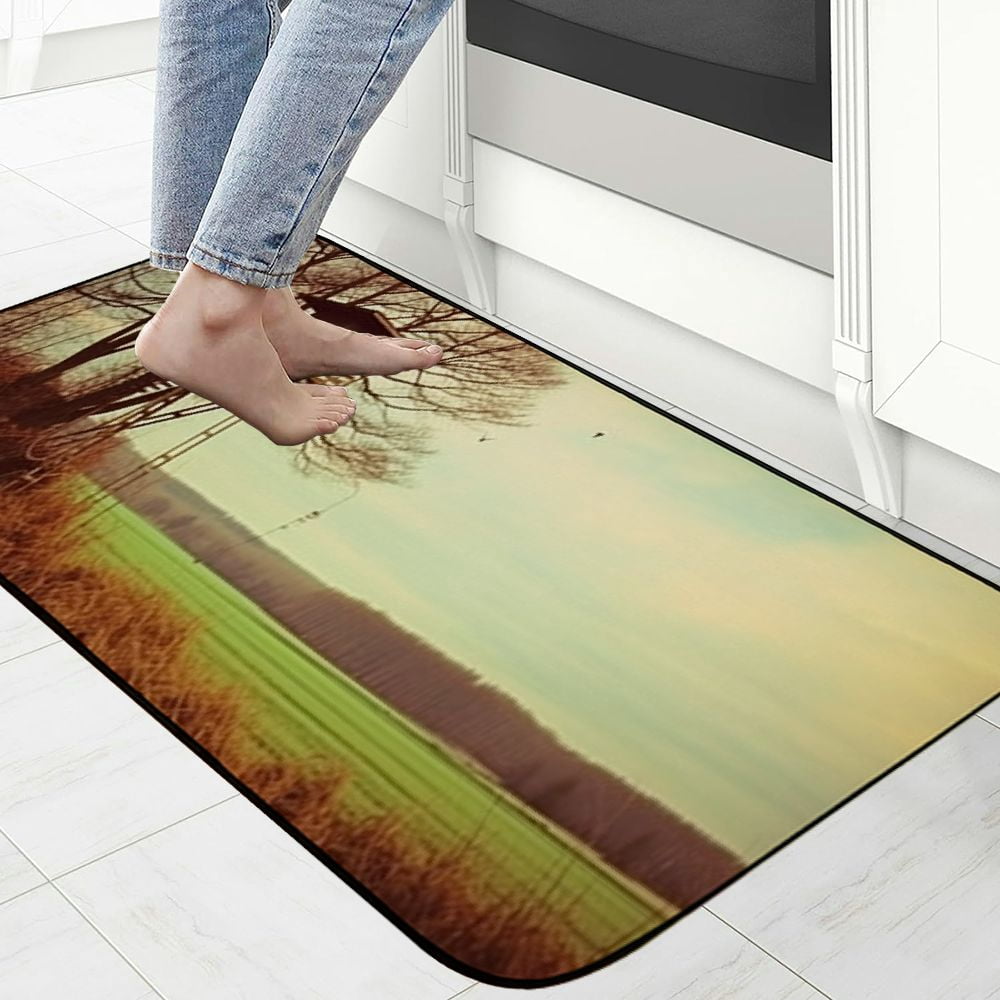 PHYHOO Decorative Door Mat, Door Mat with Non-Slip Rubber Backing, Easy Cleaning, Traps Dirt, Rug for Entry, Patio, Garage - Forest Hunt Perch Delight Wild Morgenstimmung 19.68*47.24 in