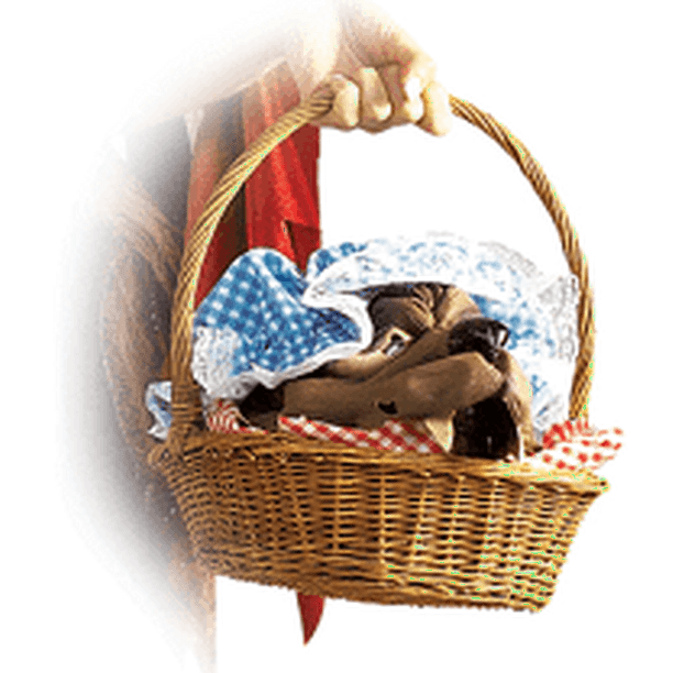Wolf Head In A Basket Walmart Com Walmart Com