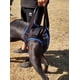 thumbnail image 1 of Arnés Perros Con Displasia Fracturas O Seniles Una Pieza., 1 of 7